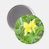 Daffidioten! Magneet (Voorkant / Achterkant)