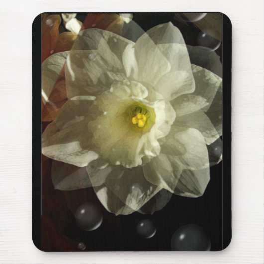 Daffidol Dreams Muismat (Voorkant)