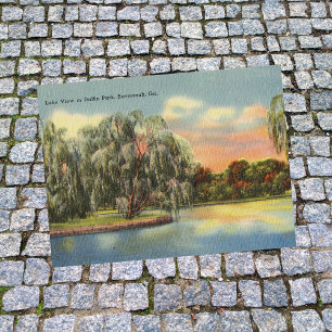 Daffin Park Lake Uitzicht Savannah GA retro Briefkaart