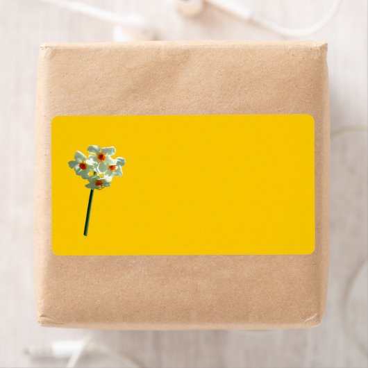 Daffodieletiket Etiket (Insitu)