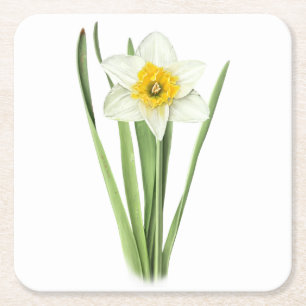 Daffodielventiel Vierkante Kartonnen Onderzetter