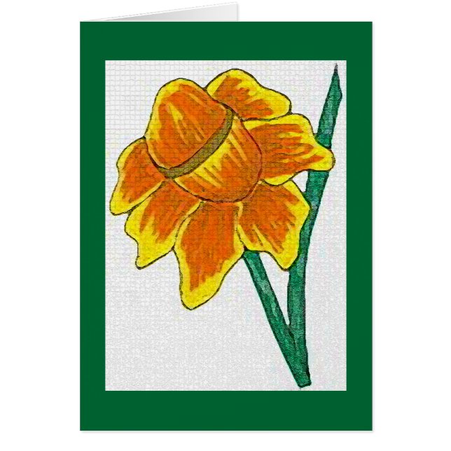 Daffodil (Voorkant)