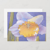 Daffodil 2003 briefkaart (Voorkant / Achterkant)