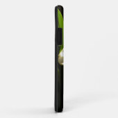 Daffodil At First Light iPhone 5 Coque (Dos/Droite)