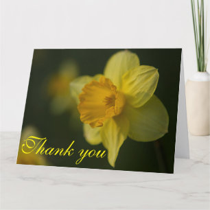 Daffodil Bedankkaart