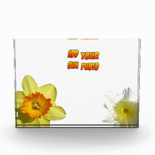 Daffodil Bloemen Cust. Fotoblok