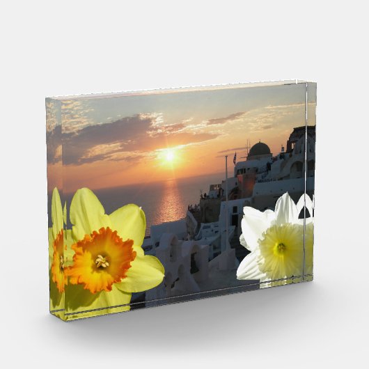 Daffodil Bloemen Fotoblok (Links)