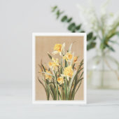daffodil Briefkaart (Staand voorkant)