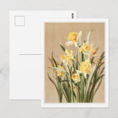 daffodil Briefkaart (Voorkant / Achterkant)