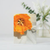Daffodil Briefkaart (Staand voorkant)