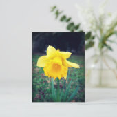 Daffodil Briefkaart (Staand voorkant)