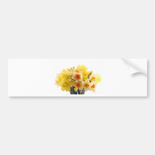 daffodil bumpersticker (Voorkant)