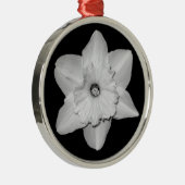 Daffodil Close-up (B&W) Ornament (Rechts)