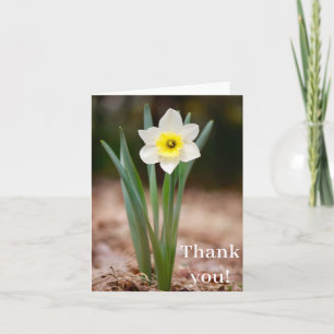 Daffodil "Dank je!" Kaart (licht)