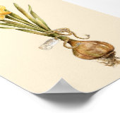 Daffodil Daydroom - Poster (Hoek)