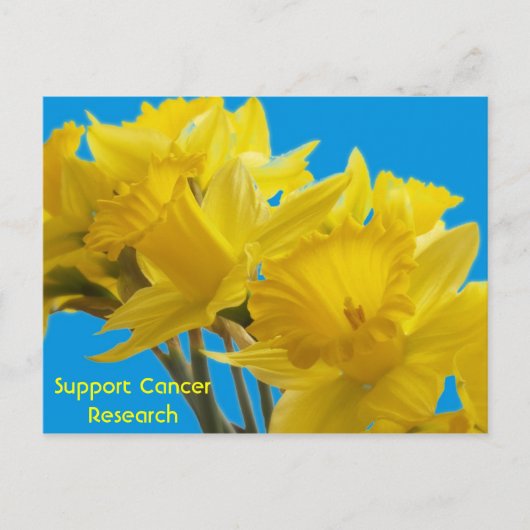 Daffodil Days Briefkaart (Voorkant)
