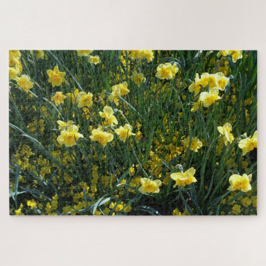 Daffodil delight jigzaag puzzel legpuzzel (Horizontaal)