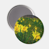 Daffodil Delight Magneet (Voorkant / Achterkant)
