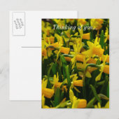 Daffodil Famille Penser De Vous Carte Postale (Devant / Derrière)