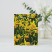 Daffodil Famille Penser De Vous Carte Postale (Debout devant)