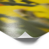 Daffodil Field Foto Afdruk (Hoek)