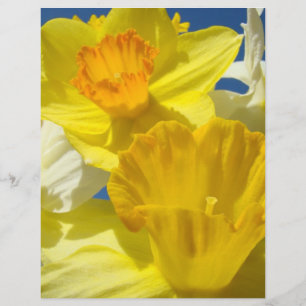 Daffodil Fleurs scrapbooking papier scrapbook