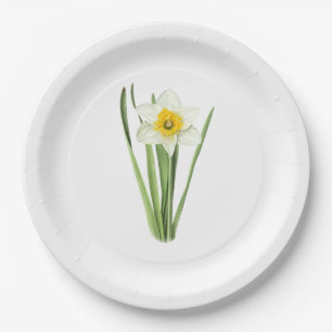 Daffodil Flower Botanical Art Papieren Bordje