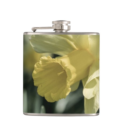 Daffodil Flower Photography Heupfles (Voorkant)