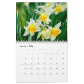 Daffodil Flowers 2025 Calendrier (Jan 2026)