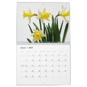 Daffodil Flowers 2025 Calendrier (Mar 2027)