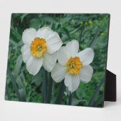 Daffodil Flowers Fotoplaat (Zijkant)