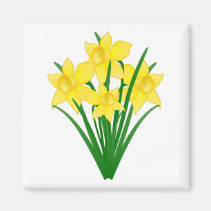Daffodil Flowers Magneet
