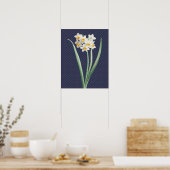 Daffodil Flowers  Retro Art Poster (Keuken)