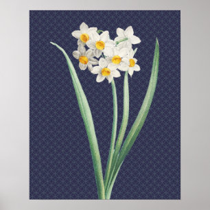 Daffodil Flowers  Retro Art Poster