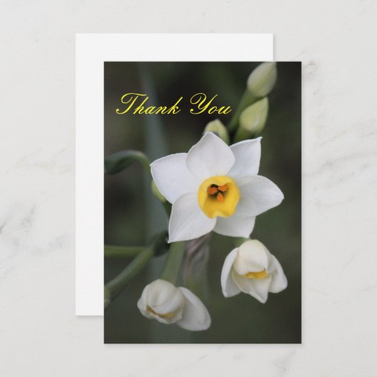 Daffodil Hartelijk dank Bedankkaart (Voorkant / Achterkant)