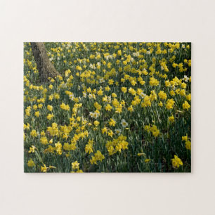 Daffodil Hill - Sunlit Yellow and White Flowers Legpuzzel