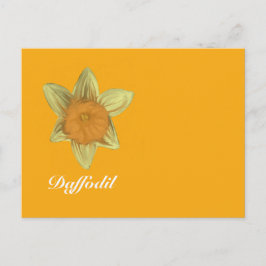 Daffodil Horizontale Briefkaart Sinaasappel