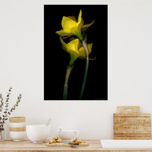 Daffodil I Poster (Keuken)