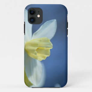 Daffodil in het voorjaar iPhone 11 hoesje