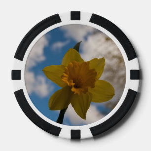 Daffodil in het voorjaar poker chips