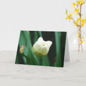 Daffodil Kaart (Gele Bloem)