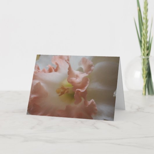 Daffodil Kaart (Voorkant)