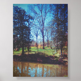 Daffodil Lake fotografie Poster