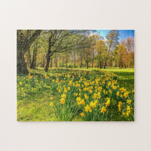 DAFFODIL LEGPUZZEL (Horizontaal)