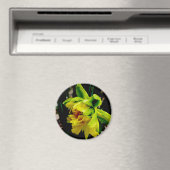Daffodil Magnet Magneet (Insitu (Vaatwasser))