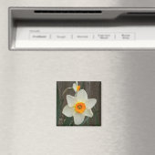 Daffodil magnet magneet (Insitu (Vaatwasser))