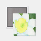 Daffodil Magnet Magneet (Voorkant / Achterkant)