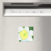 Daffodil Magnet Magneet (Insitu (Vaatwasser))