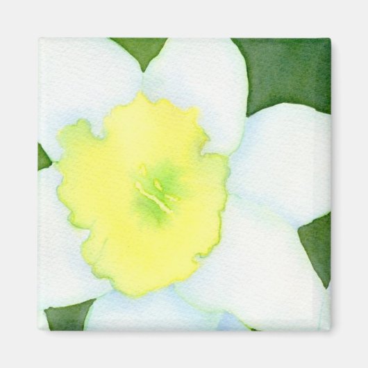 Daffodil Magnet Magneet (Voorkant)