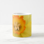 Daffodil-Mok Koffiemok (Center)